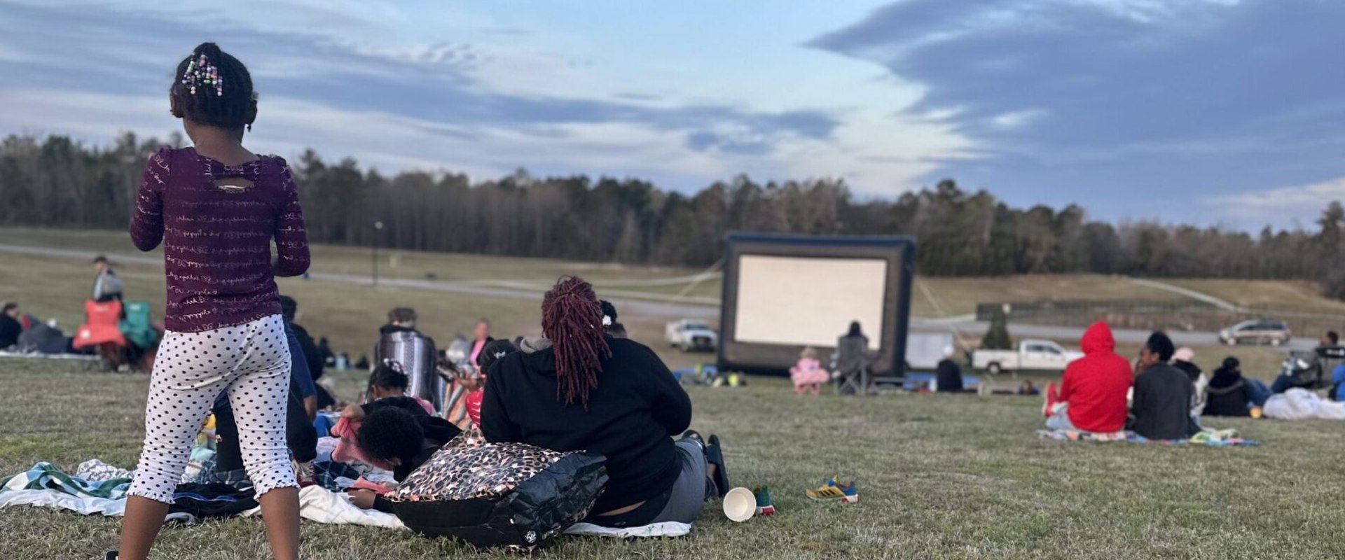 Exploring the Drone Policy at Aiken County Parks: An Expert's Perspective