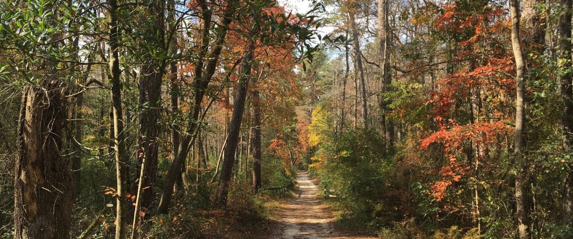 Expert Guide: The Best Parks for a Perfect Picnic in Aiken County