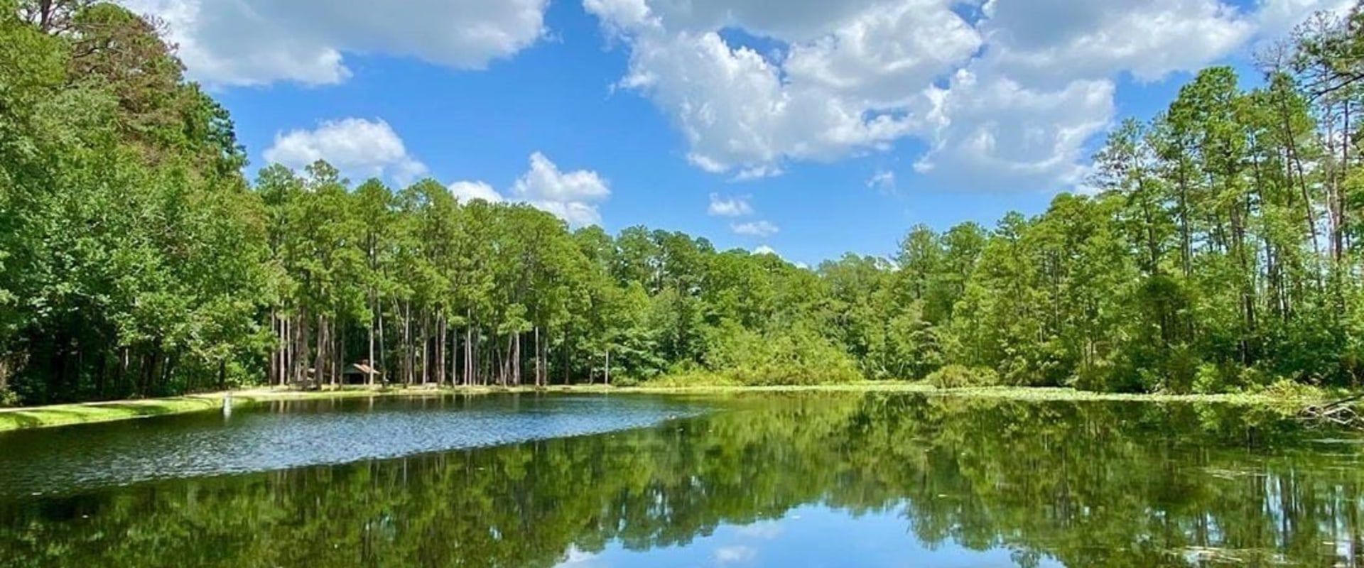 Discovering the Natural Wonders of Aiken County Parks