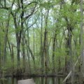 Exploring the Great Outdoors: A Guide to Aiken County Parks