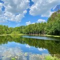 Discovering the Natural Wonders of Aiken County Parks