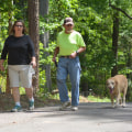 Exploring the Dog-Friendly Side of Aiken County