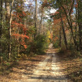 Uncovering the Hidden Treasures of Aiken County Parks