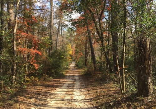 Expert Guide: The Best Parks for a Perfect Picnic in Aiken County