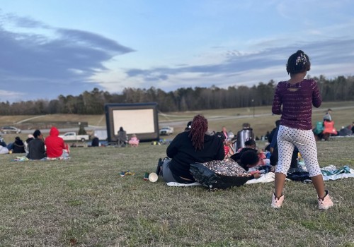 Exploring the Alcohol Policy at Aiken County Parks: An Expert's Perspective