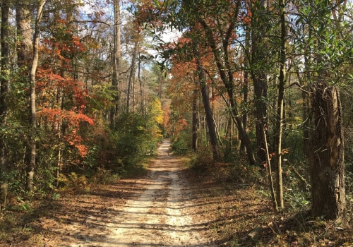 Uncovering the Hidden Treasures of Aiken County Parks